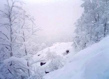 Росгидромет: проблем со снегом в Сочи не будет до 20-х чисел февраля