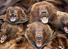 Гостям Олимпиады предлагают медвежьи шкуры и матрешек в виде Путина и Сталина 