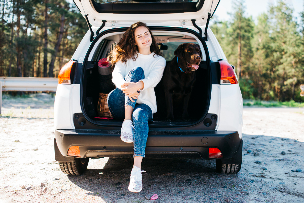 ��������� suv